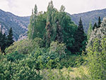 Rovies - Evia Greece
